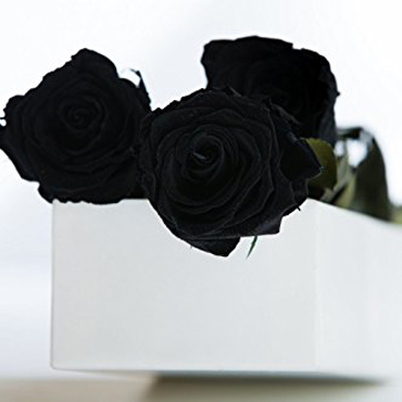 Caja con 24 Rosas Negras 
