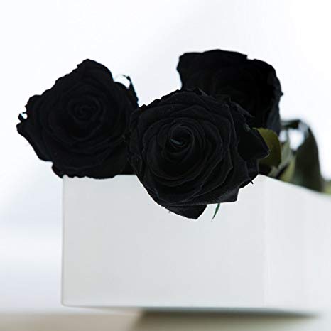  Caja de 3 Rosas Negras