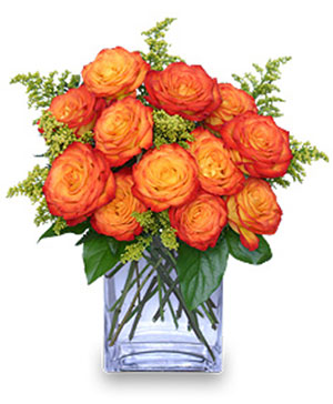 ..Belleza en Rosas Naranjas