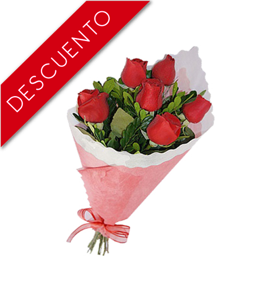 Ramo de 6 Rosas - Floresendomicilio.cl