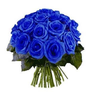 Ramo de 24 Rosas Azules